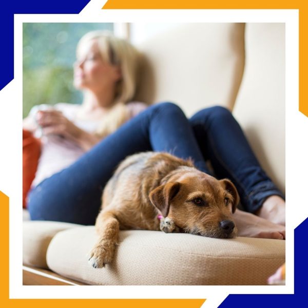 Johnstown - 1 Johnstown - 1